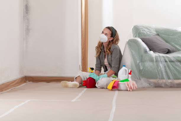Trusted Basement Mold Remediation service in Victoria, VA - Cheap Mold Removal